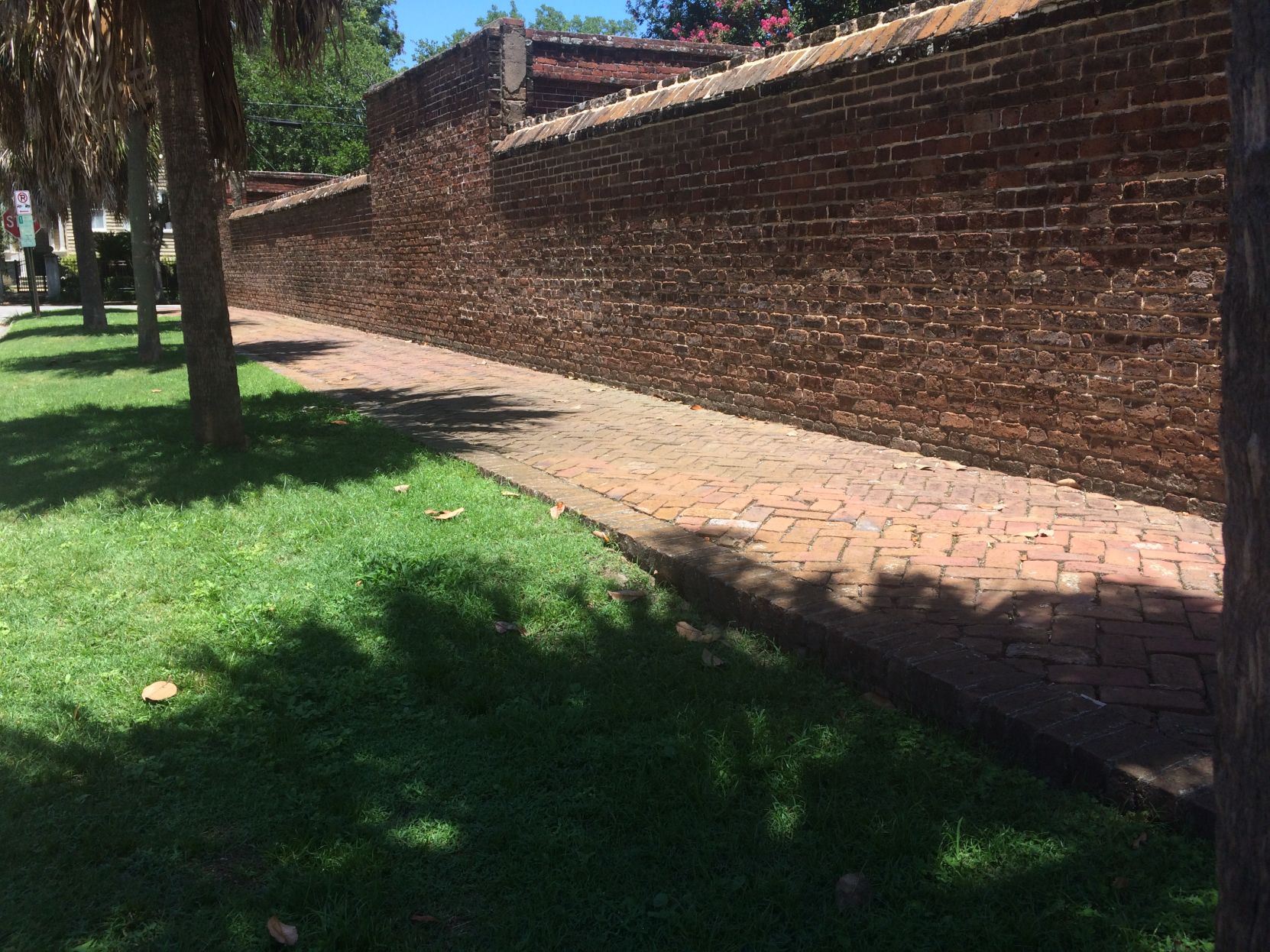 Elizabeth Street sidewalk